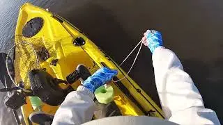 Monster Blue Crabs from Kayak!  Catch and Cook!