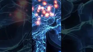 Excess Alcohol Helps Brain Function? Details here  