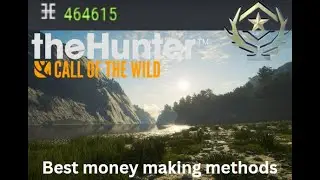 Best money making methods in the hunter COTW