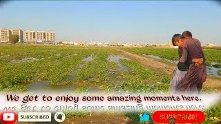 Where Nature Meets Sindhi Tradition | Malhakharo Game🥰