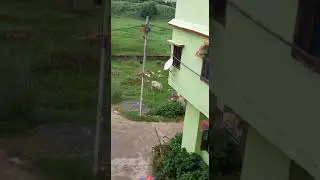 sale out plot on gandhi nagar near patliputra station.