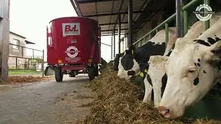 W&oacute;z paszowy BvL w GR Kubiak!