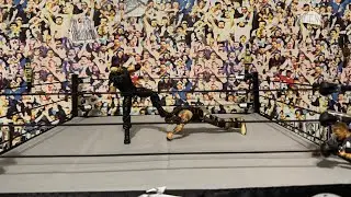 Seth Rollins vs Bray Wyatt #animation #wrestling #wwe