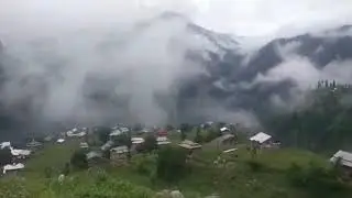 Neelam valley kashmir #neelum #vally #kashmir #beauty #neelumvalley #kpk #ajk #tree #travel #nature