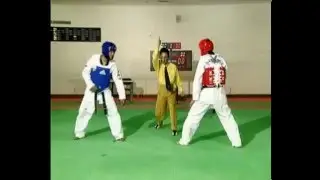 WTF Taekwondo  Kyorugui competition, rules, interpretation & guidelines