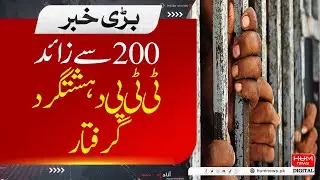 More than 200 TTP terrorists arrested