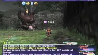 FFXI NM Saga #285: Cemetary Cherry NM [Full Battle]