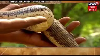 Kuch To Hai | नागलोक का नाग पुरुष, सांपों से कटवाने का है शौक
