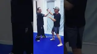 Learn Kali Martial Arts in Fort Myers! #shorts #mma #fm #fortmyers