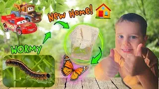 🚗🌿 McQueen & Mater&rsquo;s NEW PET?! Caterpillar Adventure Begins! | Playtime with Lorenzo