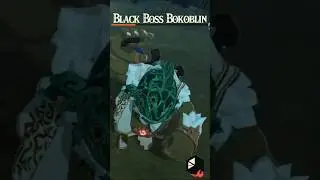 Agraston and Vence Sync Strike Black Boss Bokoblin #shorts #nintendoswitch2 #zelda #hyrulewarriors