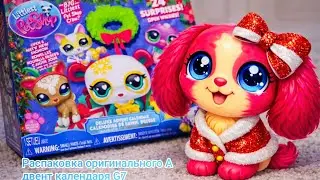 Обзор на календарь lps G7 4 волны🥳❤️