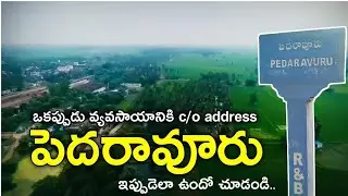 my village pedaravuru