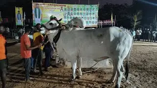 ఏమిగనూర్ న్యూ క్యాటగిరి 19వ జత..