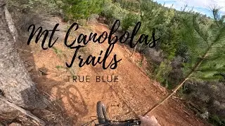 True Blue - Orange Mountain Bike Club