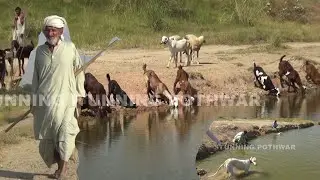 VILLAGE LIFE ULTIMATE BEAUTY | RURAL AREA OF PUNJAB PAKISTAN |CHAKWAL & ATTOCK