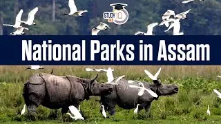 National Park of Assam#Gk#Assam geography #state level exam
