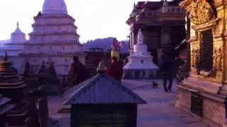Pgm2