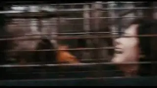 Territoires Bande Annonce (2011)