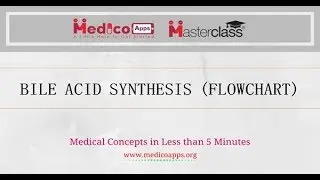 BILE ACID SYNTHESIS