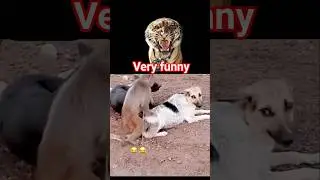 funny moment comedy🤣 scenes funny video #viral #funny #shortvideo #music #superlike #newreel