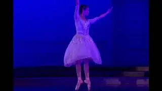 Deise Mendonca - Cinderella Variation