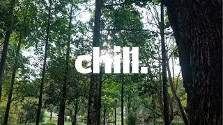 10 Minute Nature Meditation at Lake Garden KL | Sound Bowl Healing & Relaxation