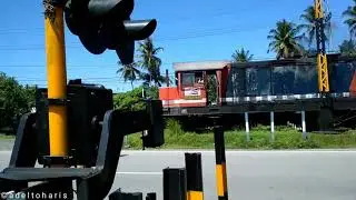 Kompilasi BB 303 78 04 menarik KA Sibinuang