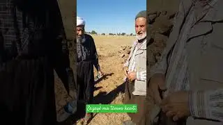 Zazay&ecirc; ma t&ecirc;mon kewti #zaza #zazana #zazaki