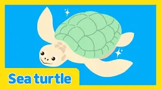 The Underwater Talent Show🐧| Kids Educational Video | Sea turtle | Learn With Lotty Friends