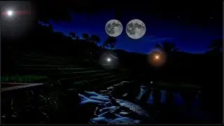 🌾🌌 Calm Countryside Night | Relaxing Sleep Music & Gentle Crickets Sounds