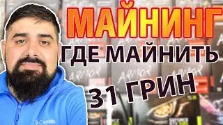 Где выгоднее всего майнить 31 и 29 Грин МАЙНИНГ CUCKAROO 31