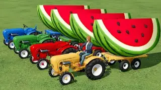 Mini Porsche Tractor Transporting Watermelon In Fs22 | Farming simulator 22 |