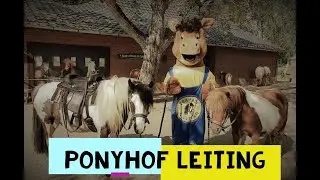 ponyhof leiting  isselburg 2021 das familien freizeit paradies إيزلبورغ