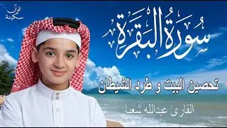 سورة البقرة كاملة || القارئ عبدالله شعبان || لحفظ المنزل و رقية من السحر  Surah Baqarah