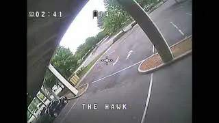 Baby Hawk R