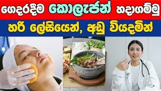 Top 5 Collagen Foods for Skin Health: ශරීරයට අවශ්‍ය කොලැජන් සියල්ල