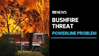 Power companies on notice over looming bushfire season | ABC News