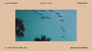 Ilija Rudman - Serpent Slide - Paradigma Lp (2018)