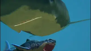 GIANT TIGER SHARK LEVEL 200 | feed and grow fish part 13