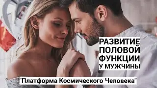 РАЗВИТИЕ ПОЛОВОЙ ФУНКЦИИ У МУЖЧИНЫ: 