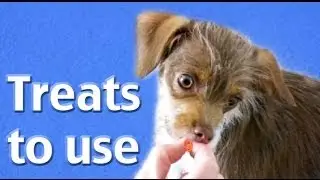 What treats to use when training