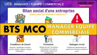 AIDE BTS MCO | Comment faire un bilan social d'entreprise ? | MANAGEMENT D'EQUIPE