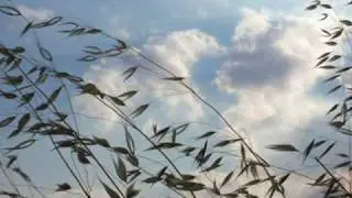 ΜΙΑ ΑΛΛΗ ΦΩΝΗ  Τσακνής-Μάλαμας