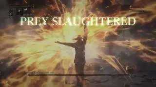 Watchdog of the Old Lords (Defiled) - No damage - Bloodborne