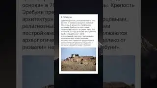 Рубрика: «Тупые вопросы братьев наших меньших» #армения #новостиармении #hayastan