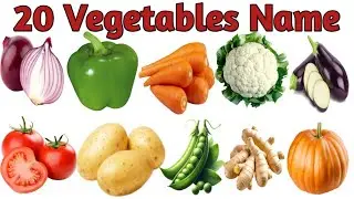 20 Vegetables Name with Facts | Names Of Vegetables | Vegetables Vocabulary in Hindi and English
