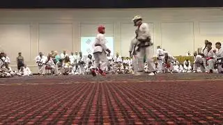 2015 International(Las Vegas) - Team FreeFighting - Malaysia VS USA - Tang Soo Do Malaysia