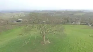 Burrow Hill