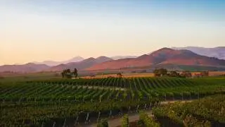 Santa Ynez Water Softener System